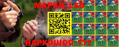 шишки Бузулук