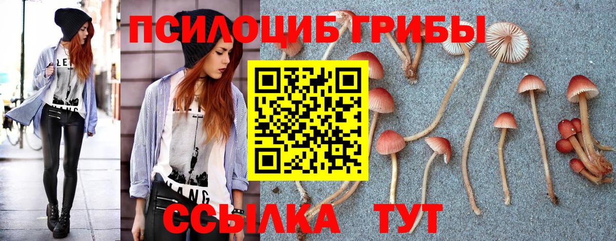 дарнет шоп  Вход с VPN  Муром  Псилоцибиновые грибы MAGIC MUSHROOMS 