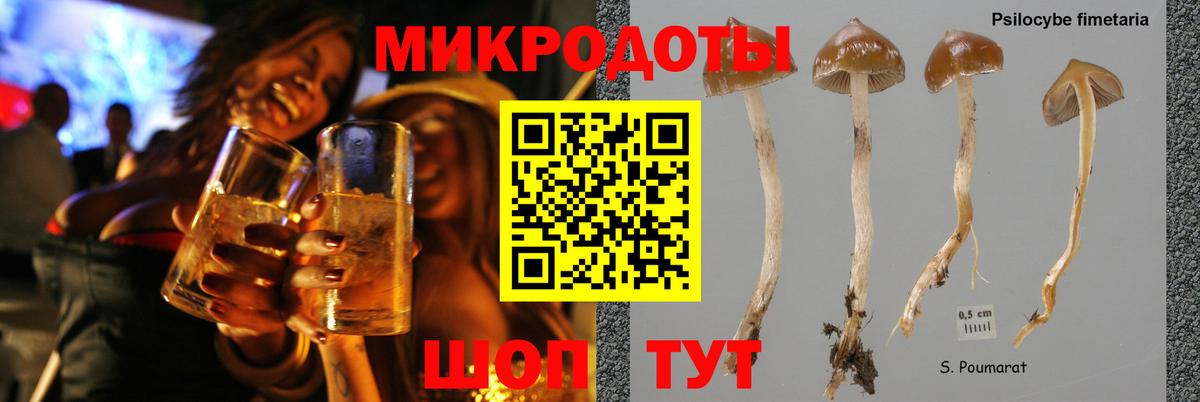 Галлюциногенные грибы MAGIC MUSHROOMS Муром